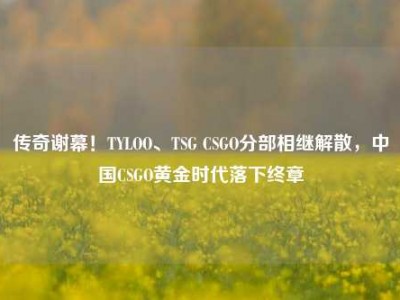 传奇谢幕！TYLOO、TSG CSGO分部相继解散，中国CSGO黄金时代落下终章