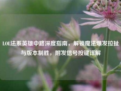 LOL法系英雄中路深度指南，解锁魔法爆发拉扯与版本制胜，附发信号按键详解