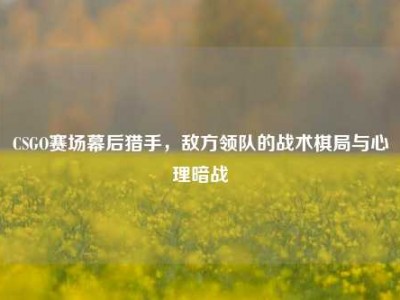 CSGO赛场幕后猎手，敌方领队的战术棋局与心理暗战