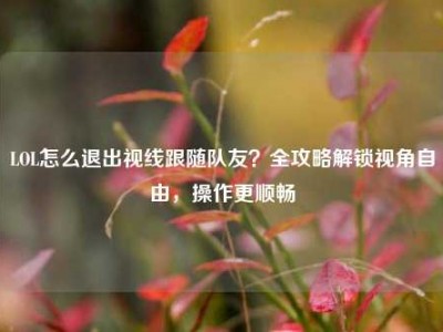 LOL怎么退出视线跟随队友？全攻略解锁视角自由，操作更顺畅