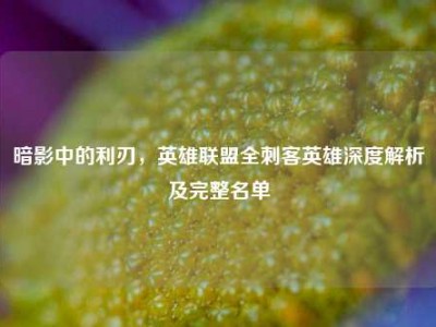 暗影中的利刃，英雄联盟全刺客英雄深度解析及完整名单
