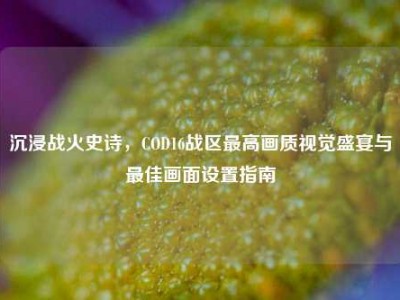 沉浸战火史诗，COD16战区最高画质视觉盛宴与最佳画面设置指南