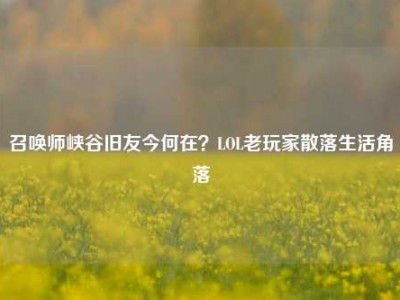 召唤师峡谷旧友今何在？LOL老玩家散落生活角落