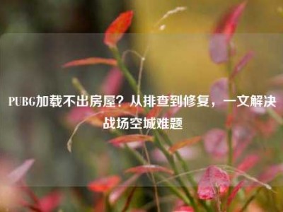 PUBG加载不出房屋？从排查到修复，一文解决战场空城难题