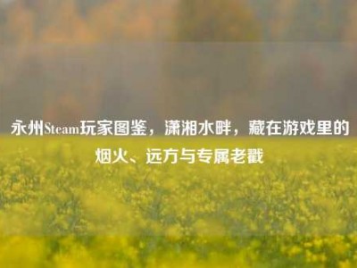 永州Steam玩家图鉴，潇湘水畔，藏在游戏里的烟火、远方与专属老戳