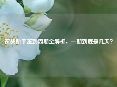 逆战助手签到周期全解析，一期到底是几天？