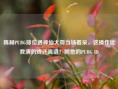 陈赫PUBG排位遇神仙大哥当场看呆，这操作比我演的戏还离谱！附他的PUBG ID