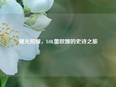曙光照耀，LOL蕾欧娜的史诗之旅