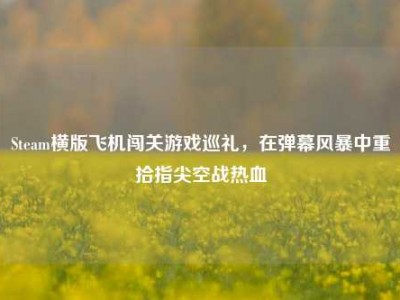 Steam横版飞机闯关游戏巡礼，在弹幕风暴中重拾指尖空战热血