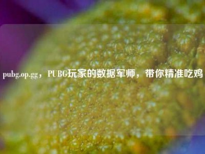 pubg.op.gg，PUBG玩家的数据军师，带你精准吃鸡