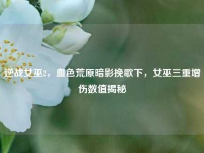 逆战女巫2，血色荒原暗影挽歌下，女巫三重增伤数值揭秘