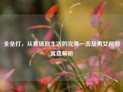 全垒打，从赛场到生活的完美一击及男女间的寓意解析