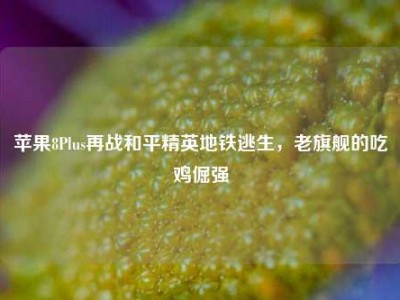 苹果8Plus再战和平精英地铁逃生，老旗舰的吃鸡倔强