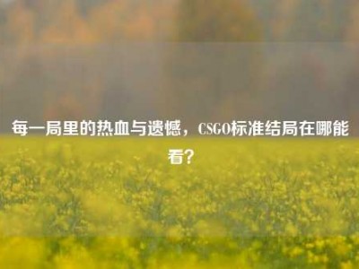 每一局里的热血与遗憾，CSGO标准结局在哪能看？