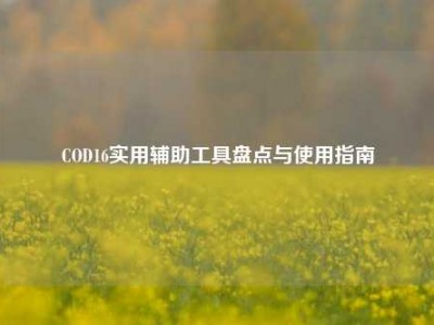 COD16实用辅助工具盘点与使用指南