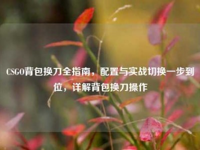 CSGO背包换刀全指南，配置与实战切换一步到位，详解背包换刀操作