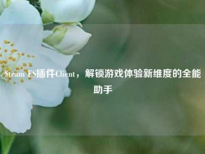 Steam ES插件Client，解锁游戏体验新维度的全能助手
