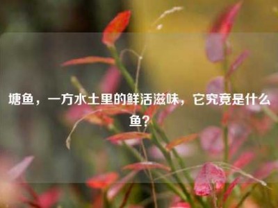 塘鱼，一方水土里的鲜活滋味，它究竟是什么鱼？