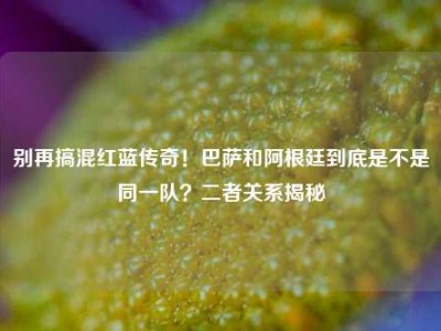 别再搞混红蓝传奇！巴萨和阿根廷到底是不是同一队？二者关系揭秘