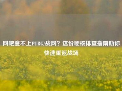 网吧登不上PUBG/战网？这份硬核排查指南助你快速重返战场