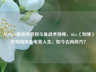 从CSGO赛场传奇到斗鱼战术导师，Alex（刘坤）的双向奔赴电竞人生，如今去向何方？