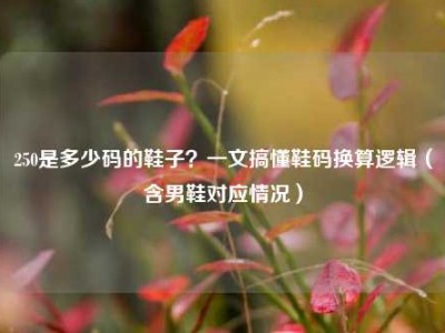 250是多少码的鞋子？一文搞懂鞋码换算逻辑（含男鞋对应情况）