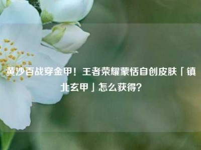 黄沙百战穿金甲！王者荣耀蒙恬自创皮肤「镇北玄甲」怎么获得？