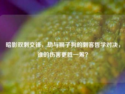 暗影双刺交锋，劫与狮子狗的刺客哲学对决，谁的伤害更胜一筹？