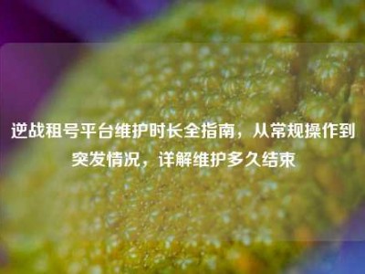 逆战租号平台维护时长全指南，从常规操作到突发情况，详解维护多久结束
