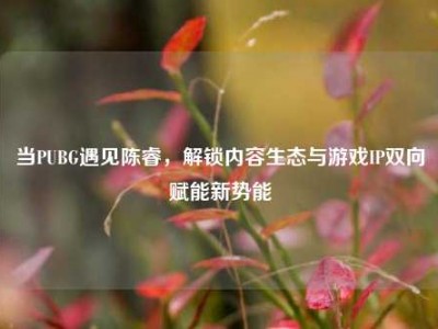 当PUBG遇见陈睿，解锁内容生态与游戏IP双向赋能新势能