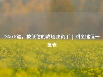 CSGO E键，被低估的战场胜负手 | 附全键位一览表