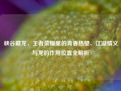 峡谷藏龙，王者荣耀里的青春热望、江湖情义与龙的作用位置全解析