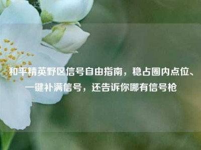 和平精英野区信号自由指南，稳占圈内点位、一键补满信号，还告诉你哪有信号枪