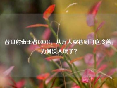 昔日射击王者COD16，从万人空巷到门庭冷落，为何没人玩了？