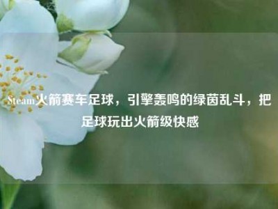Steam火箭赛车足球，引擎轰鸣的绿茵乱斗，把足球玩出火箭级快感