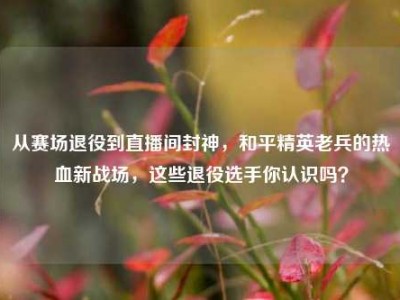 从赛场退役到直播间封神，和平精英老兵的热血新战场，这些退役选手你认识吗？