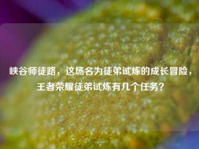 峡谷师徒路，这场名为徒弟试炼的成长冒险，王者荣耀徒弟试炼有几个任务？