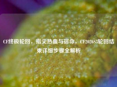 CF终极轮回，指尖热血与宿命，CF2026S3轮回结束详细步骤全解析