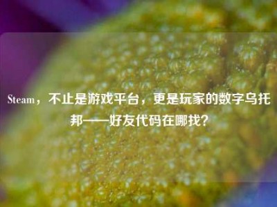 Steam，不止是游戏平台，更是玩家的数字乌托邦——好友代码在哪找？