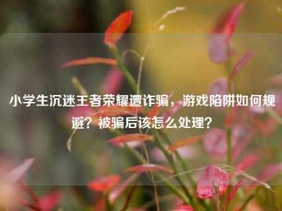 小学生沉迷王者荣耀遭诈骗，游戏陷阱如何规避？被骗后该怎么处理？