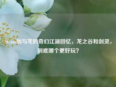 Steam剑与龙的奇幻江湖回忆，龙之谷和剑灵，到底哪个更好玩？