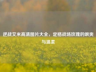 逆战艾米高清图片大全，定格战场玫瑰的飒爽与温柔