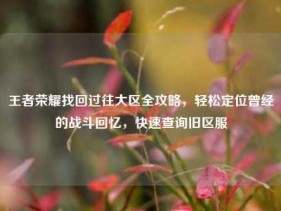 王者荣耀找回过往大区全攻略，轻松定位曾经的战斗回忆，快速查询旧区服