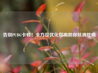 告别PUBG卡顿！全方位优化指南助你丝滑吃鸡