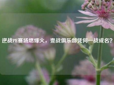 逆战PE赛场燃烽火，壹战俱乐部凭何一战成名？
