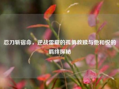 忍刀斩宿命，逆战雷藏的孤勇救赎与他和悦的羁绊探秘