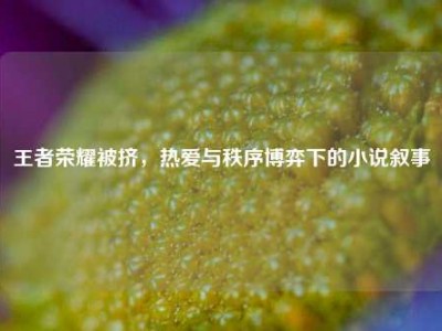 王者荣耀被挤，热爱与秩序博弈下的小说叙事