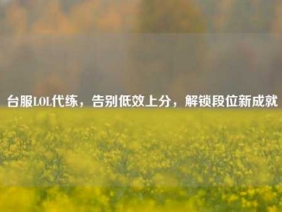 台服LOL代练，告别低效上分，解锁段位新成就