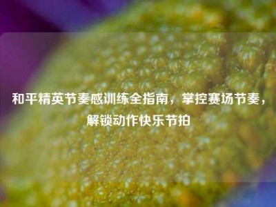 和平精英节奏感训练全指南，掌控赛场节奏，解锁动作快乐节拍