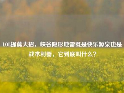 LOL提莫大招，峡谷隐形地雷既是快乐源泉也是战术利器，它到底叫什么？